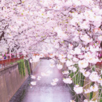 木花咲耶姫の神話が教える生命の歓喜。アートとウェルビーイングが導く豊かな日々