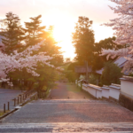 猿田彦が照らす人生の道──道開きの神とアートが呼び覚ます光と生命の歓喜