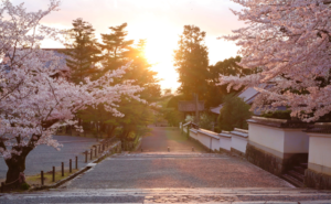 猿田彦が照らす人生の道──道開きの神とアートが呼び覚ます光と生命の歓喜