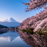 アートとウェルビーイングが交差する愛宕神社の石段──生命の歓喜を呼び覚ます絶対肯定の生き方