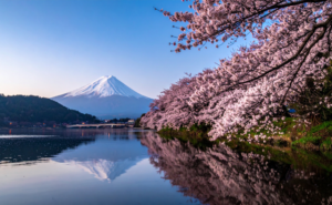 アートとウェルビーイングが交差する愛宕神社の石段──生命の歓喜を呼び覚ます絶対肯定の生き方