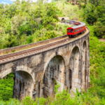 企業成長の必須条件とウェルビーイング｜心を満たす美しい組織の在り方