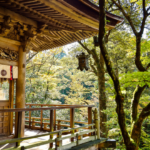 千利休の美意識がひらく生命の歓び｜日常を豊かにする究極の自己受容