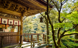 千利休の美意識がひらく生命の歓び｜日常を豊かにする究極の自己受容