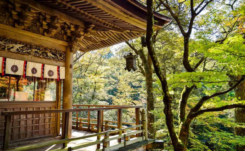 千利休の美意識がひらく生命の歓び｜日常を豊かにする究極の自己受容