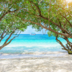 心を潤し命を満たす最高の実践｜アートとウェルビーイングが導く豊かな人生の扉