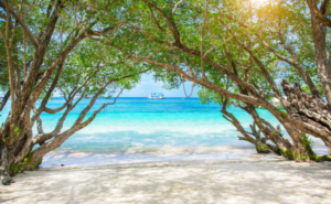 心を潤し命を満たす最高の実践｜アートとウェルビーイングが導く豊かな人生の扉