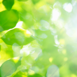 仕事のストレス解消と休日の過ごし方｜人工知能時代に心を癒やす美術館の力