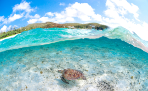 瀬織津姫の清らかな流れが呼び覚ます生命の歓び──水と自然が織りなす美と調和