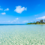 心の波を豊かさに変える｜感情の揺らぎに寄り添う表現とウェルビーイング