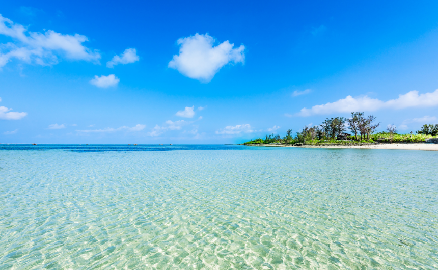 心の波を豊かさに変える｜感情の揺らぎに寄り添う表現とウェルビーイング