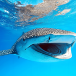 5分でできるアート瞑想｜ウェルビーイングを高める方法と心の調和