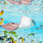 人はなぜ創造するのか｜ウェルビーイングが支える、豊かな人生の構造