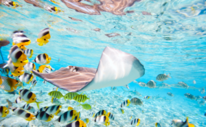 人はなぜ創造するのか|ウェルビーイングが支える、豊かな人生の構造