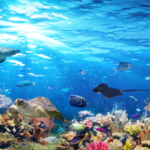 自律神経を整え生命の歓びを呼び覚ますアートとウェルビーイングの豊かな関係