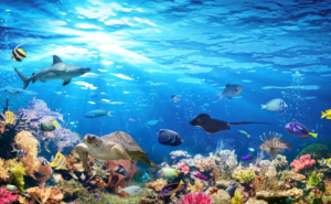 自律神経を整え生命の歓びを呼び覚ますアートとウェルビーイングの豊かな関係