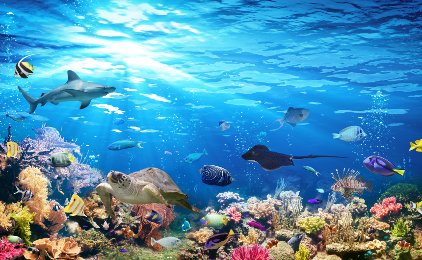 自律神経を整え生命の歓びを呼び覚ますアートとウェルビーイングの豊かな関係