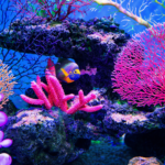 アートとウェルビーイング：生きがいを呼び覚まし心を満たす美の法則