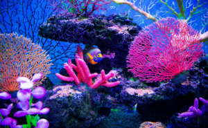 アートとウェルビーイング：生きがいを呼び覚まし心を満たす美の法則