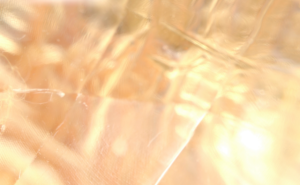 2026年3月5日、天赦日と啓蟄が重なる特別な日──生命の喜びをひらく春のはじまり