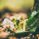 「もののあわれ」が呼び覚ます生命の歓喜──本居宣長氏の美意識から紐解くアートとウェルビーイング