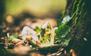 「もののあわれ」が呼び覚ます生命の歓喜──本居宣長氏の美意識から紐解くアートとウェルビーイング